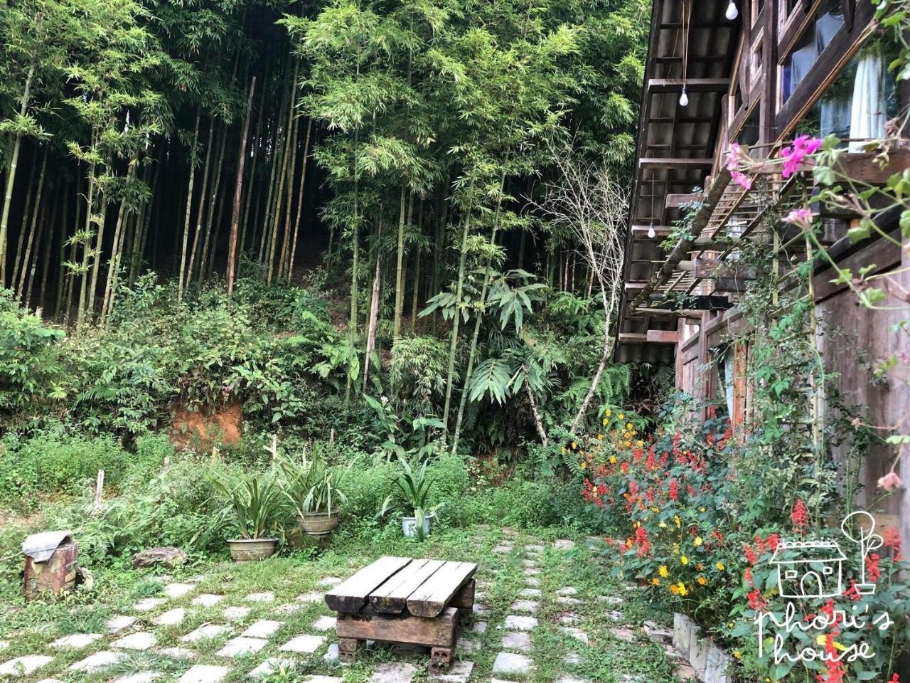 Phori'S House - Bamboo Forest Sapa Eksteriør billede