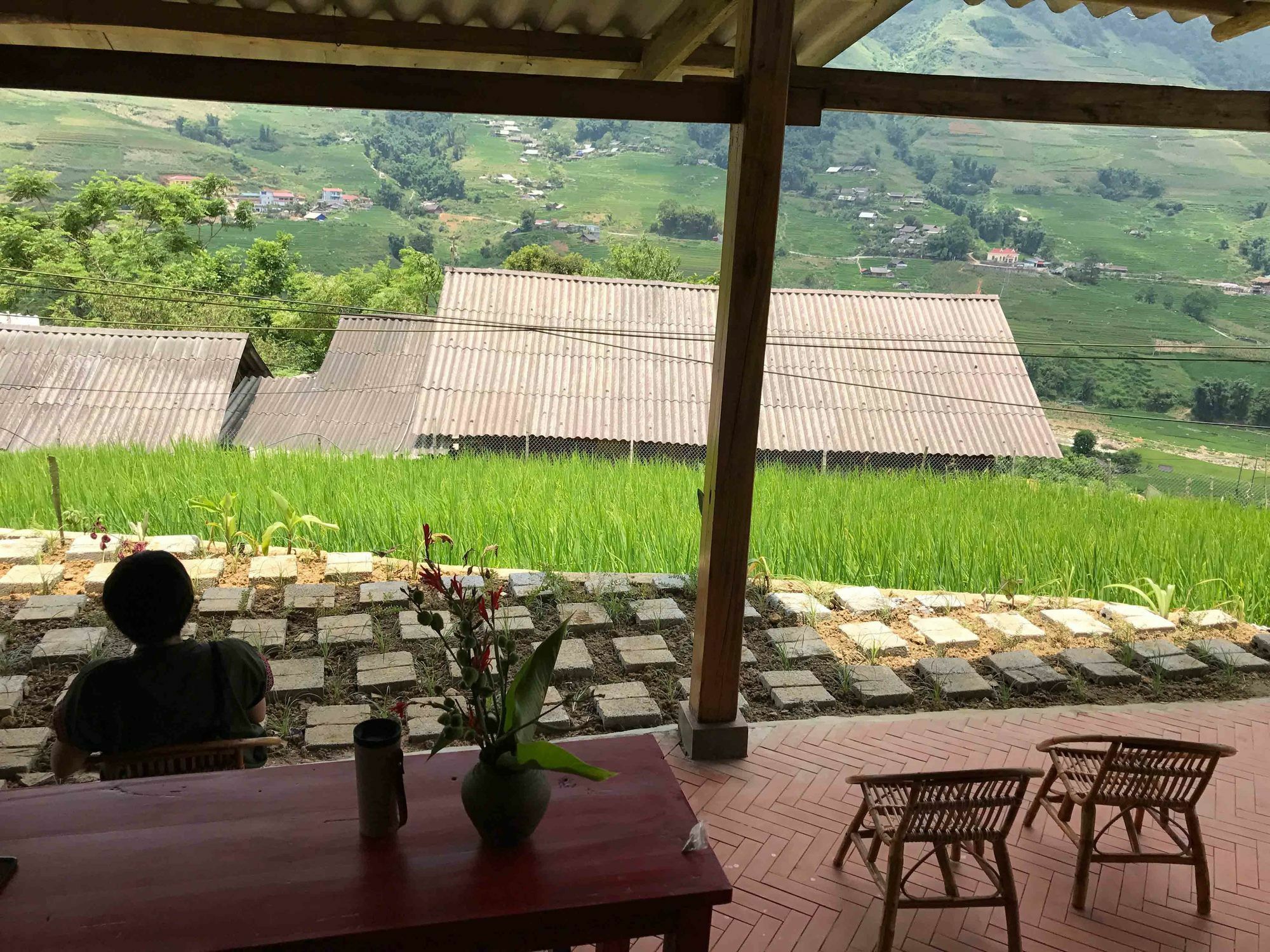 Phori'S House - Bamboo Forest Sapa Eksteriør billede