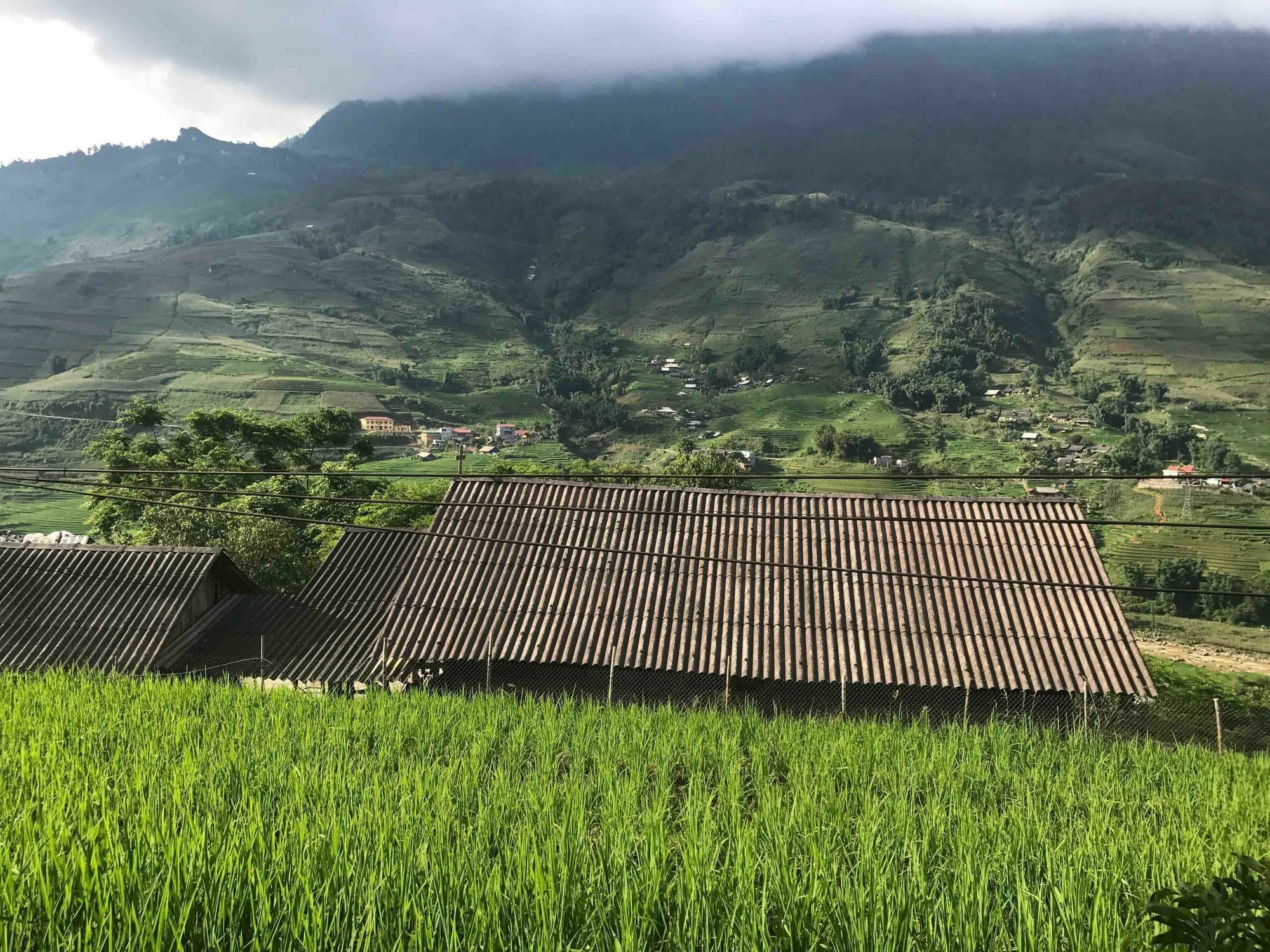 Phori'S House - Bamboo Forest Sapa Eksteriør billede